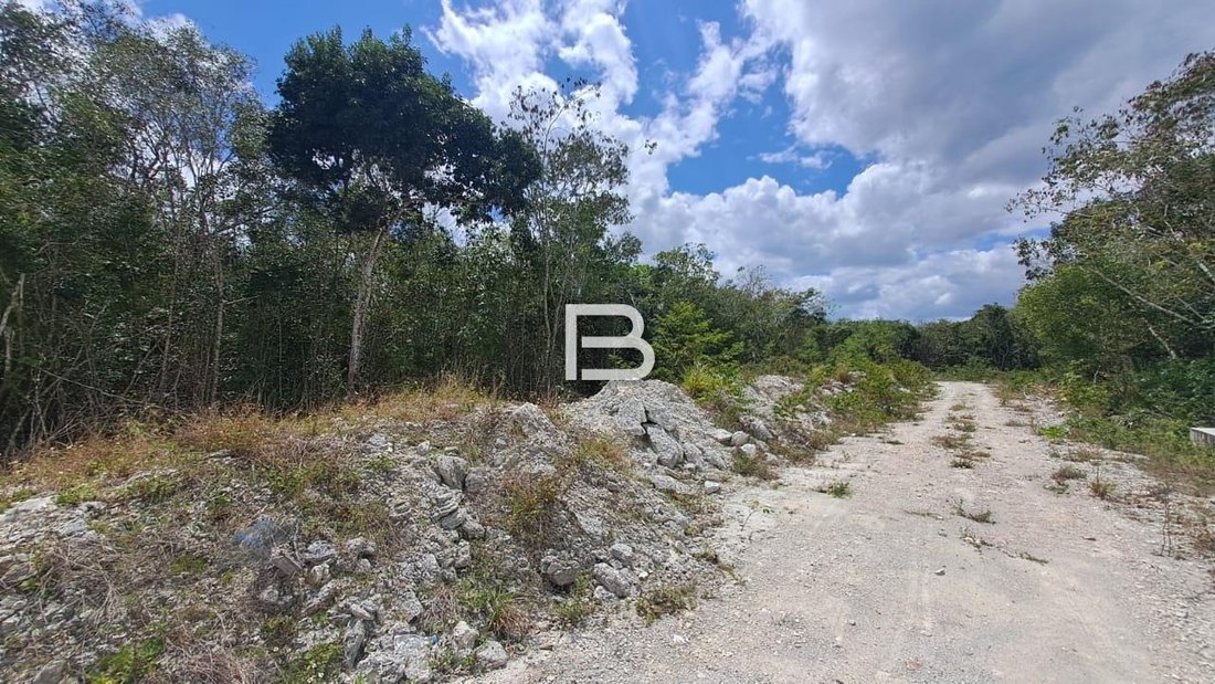 Land in Alfredo V. Bonfil, Quintana Roo, Mexico 5 - 18588761