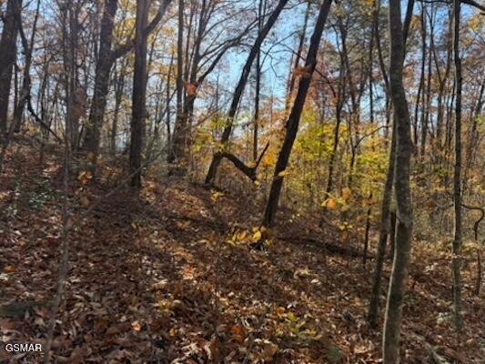 Land in Sevierville, Tennessee, United States 4 - 18589228