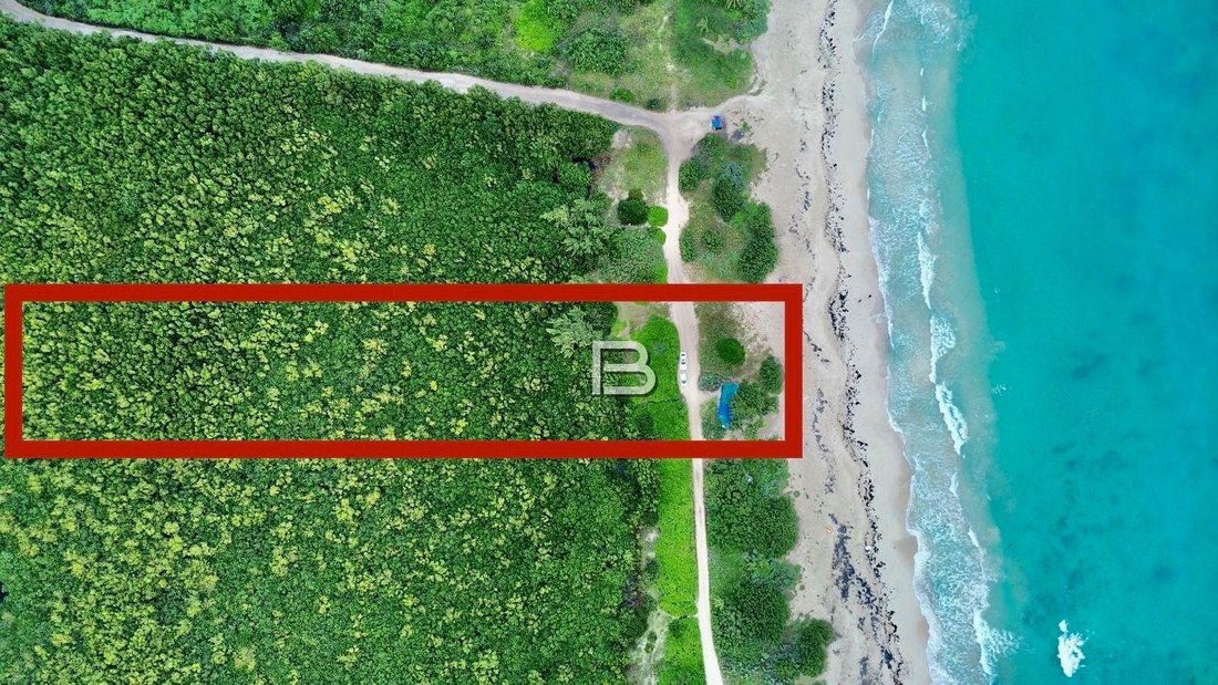 Land in Puerto Morelos, Quintana Roo, Mexico 2 - 18588266