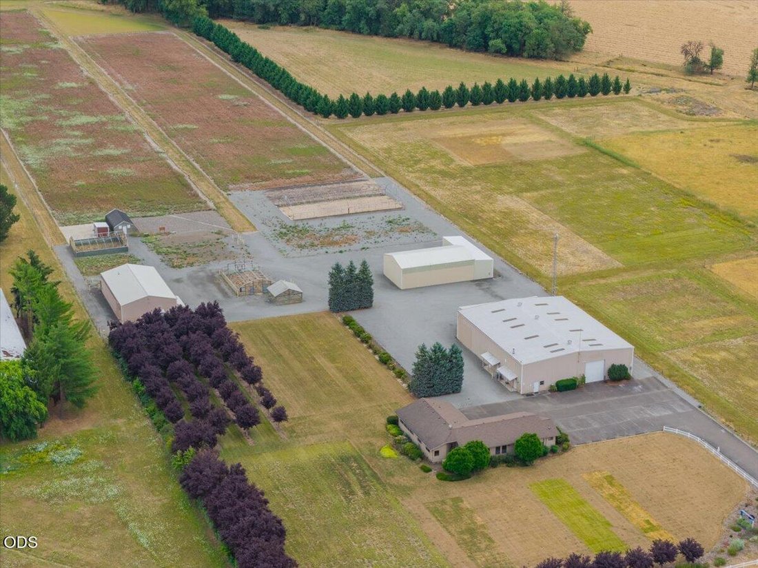 Farm Ranch in Albany, Oregon, United States 2 - 18591622