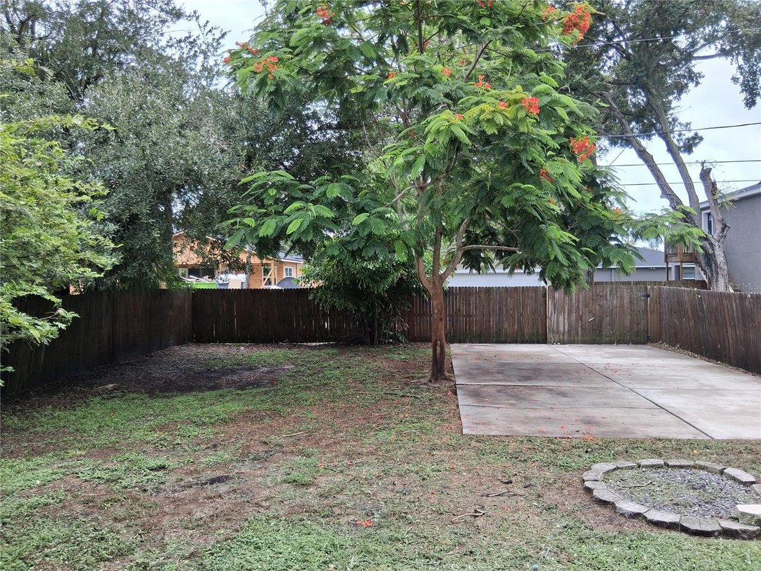 House in St. Petersburg, Florida, United States 3 - 18591878