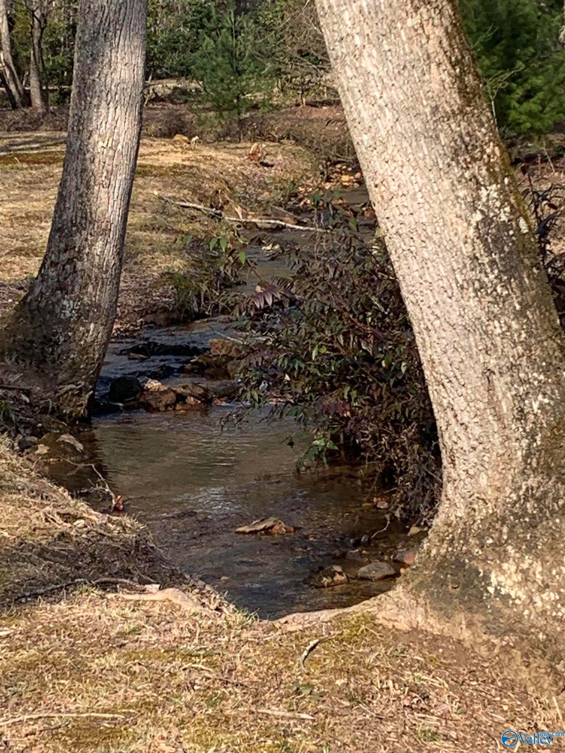 House in Valley Head, Alabama, United States 2 - 17680510
