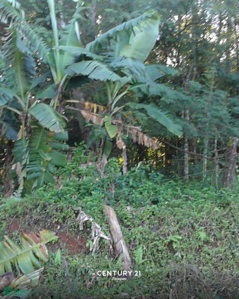 Land in Obligado, Itapúa Department, Paraguay 5 - 17815165