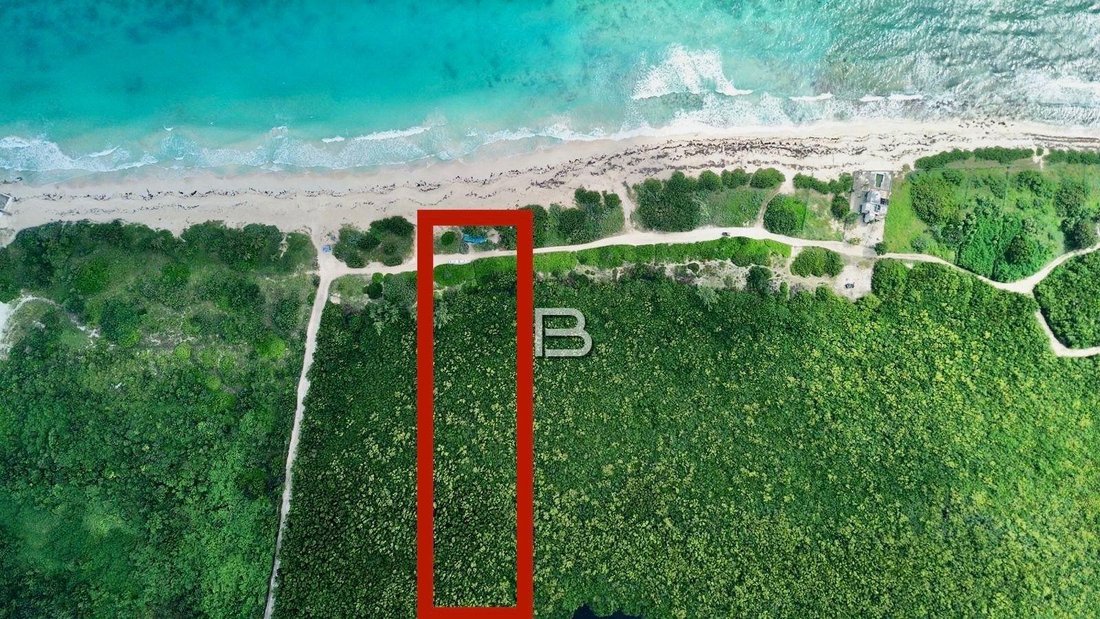 Land in Puerto Morelos, Quintana Roo, Mexico 1 - 18588266