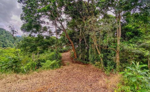 Land in Savegre de Aguirre, Puntarenas Province, Costa Rica 1
