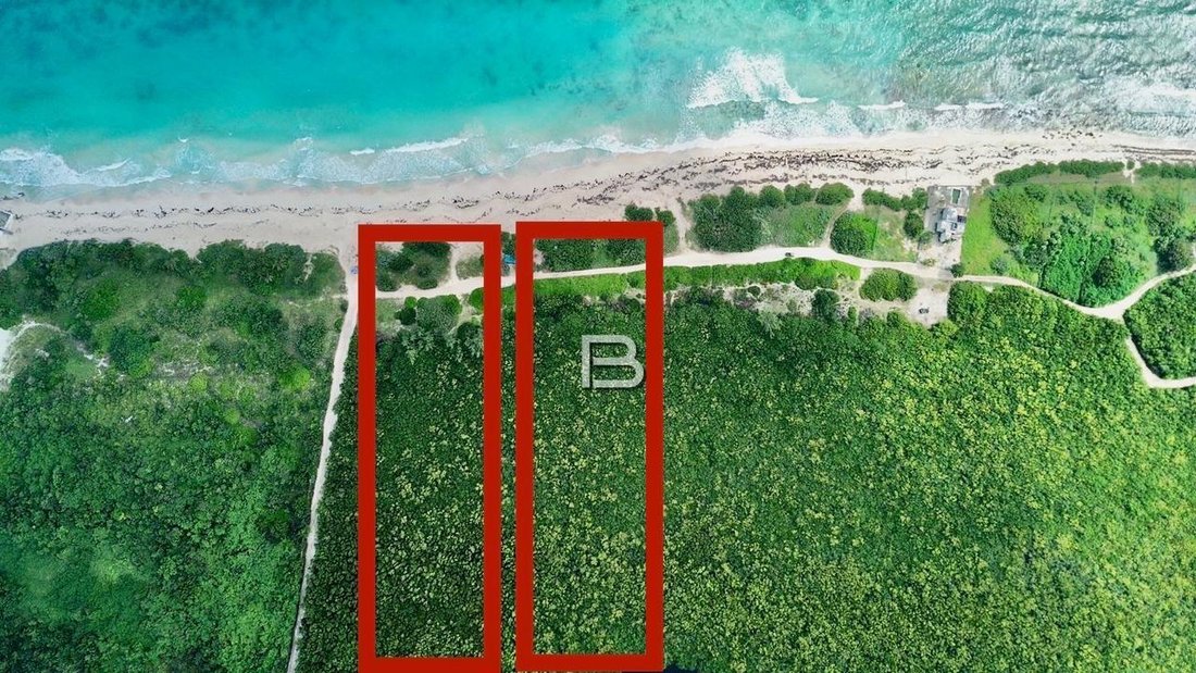 Land in Puerto Morelos, Quintana Roo, Mexico 1 - 18588267