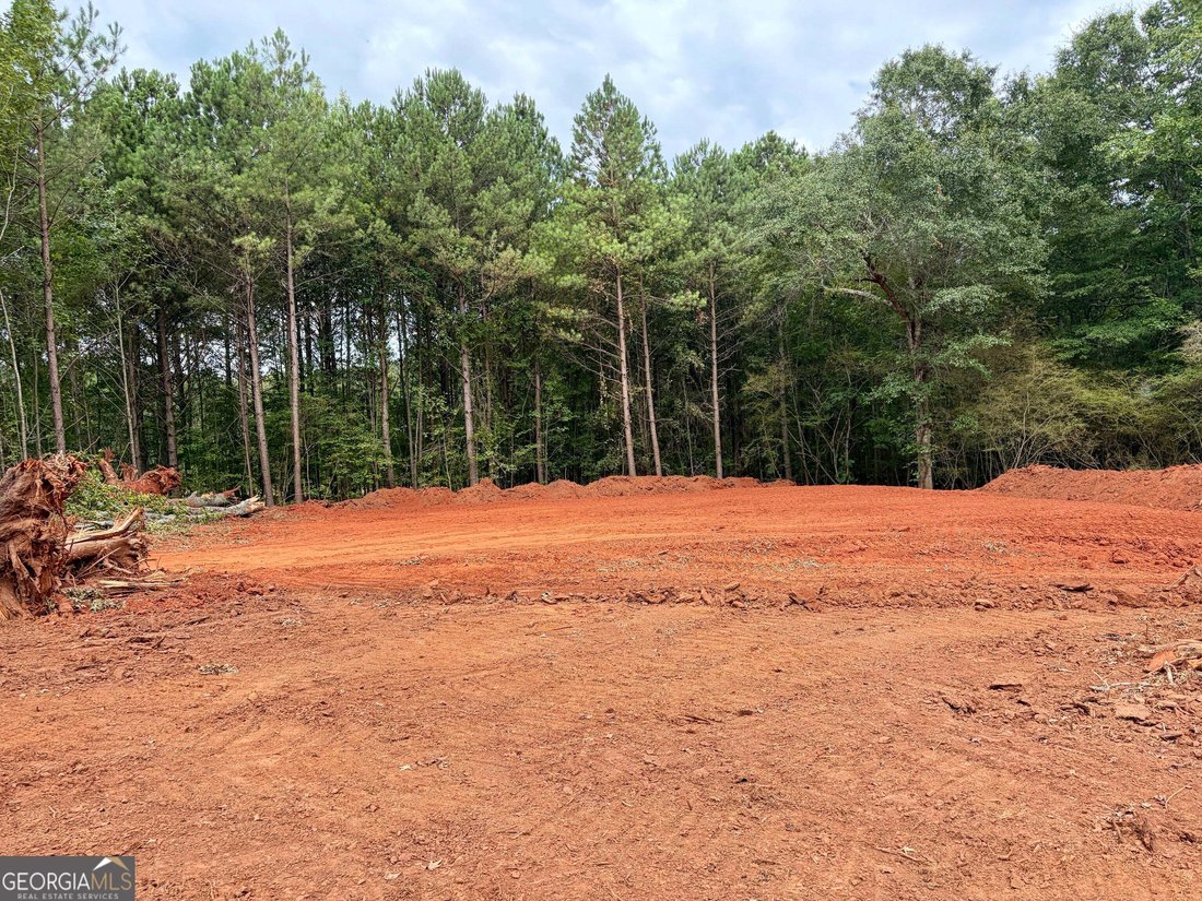 House in Williamson, Georgia, United States 4 - 18533070