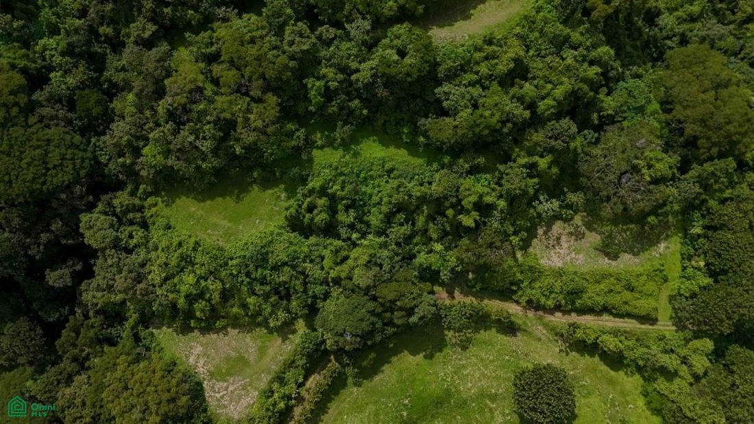 Land in Atenas, Alajuela Province, Costa Rica 1 - 17804695