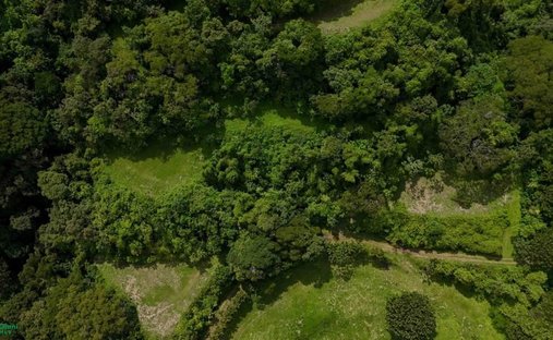 Land in Atenas, Alajuela Province, Costa Rica 1