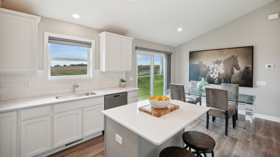 House in Cottage Grove, Minnesota, United States 4 - 18590294