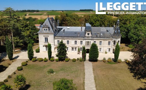 Castle in Foussignac, Nouvelle-Aquitaine, France 1