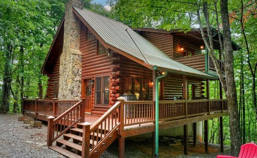 Casa a Cherry Log, Georgia, Stati Uniti 1