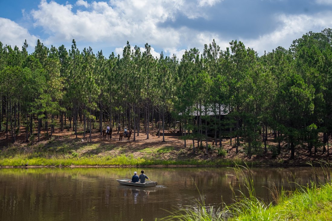 Land in Aiken, South Carolina, United States 3 - 18588990