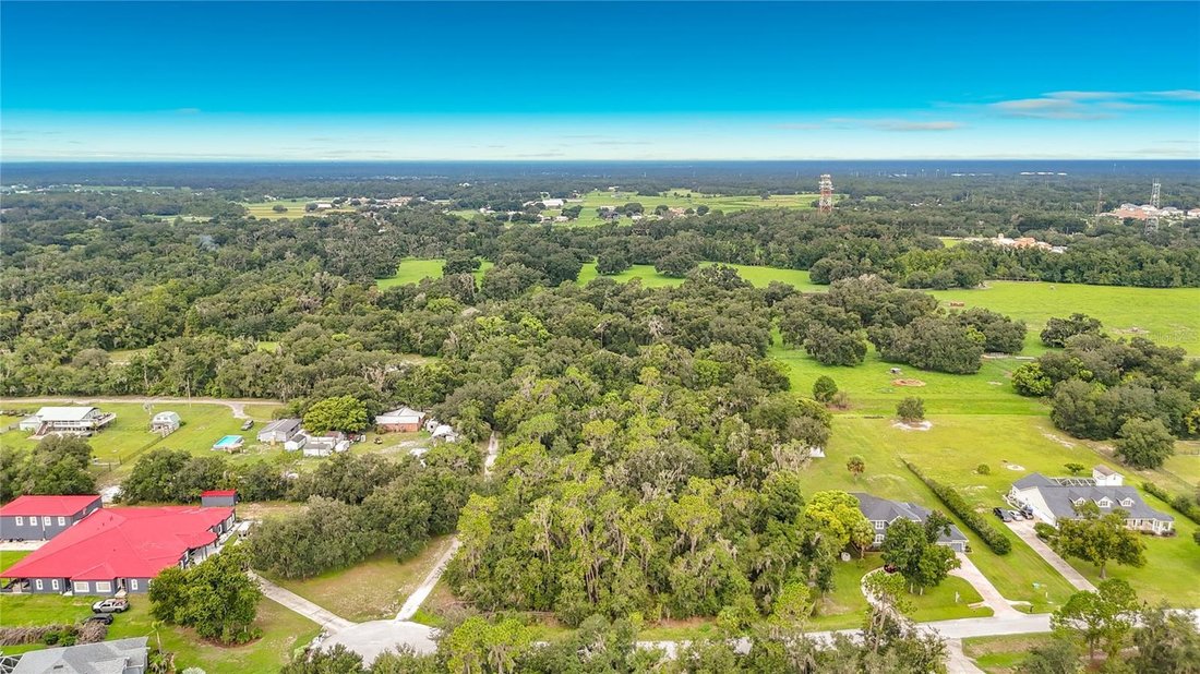 House in Lithia, Florida, United States 5 - 18589063