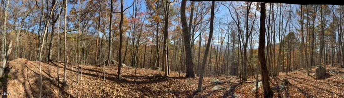 Land in Sevierville, Tennessee, United States 3 - 18589228