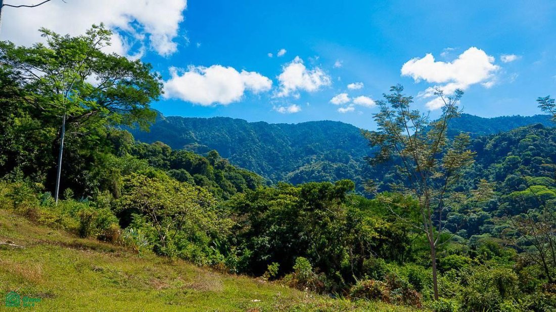 Land in Quebrada, Puntarenas Province, Costa Rica 5 - 18592230