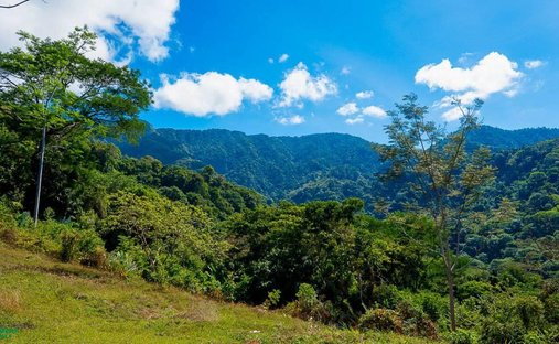 Land in Quebrada, Puntarenas Province, Costa Rica 1