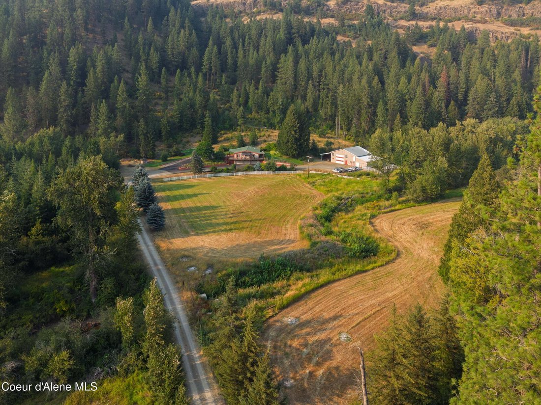 St. Maries, Idaho, United States 5 - 18590918