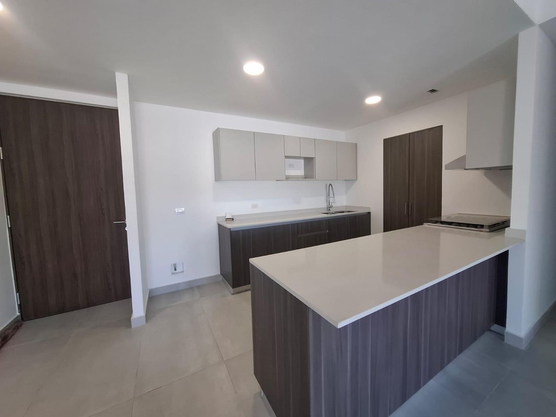 Appartement à Monterrey, Nuevo León, Mexique 2 - 18590020