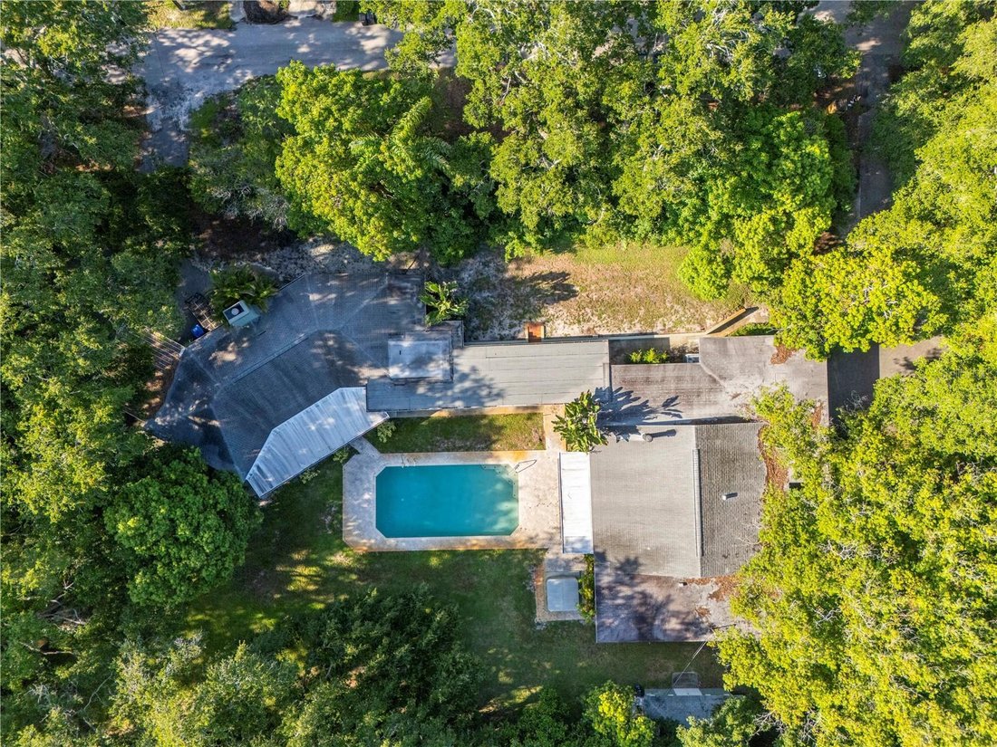 House in Clearwater, Florida, United States 5 - 18589061