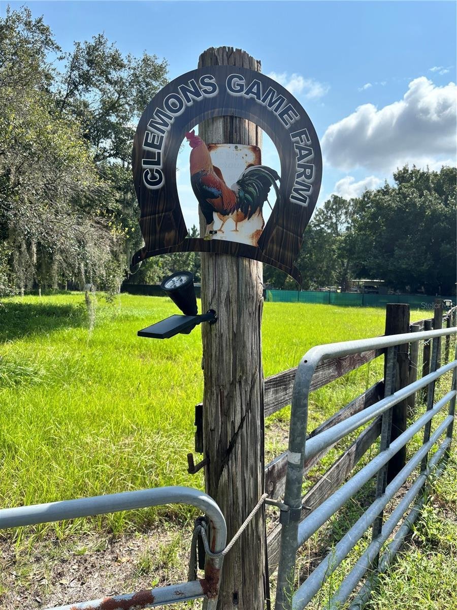 St. Cloud, Florida, United States 1 - 18589070