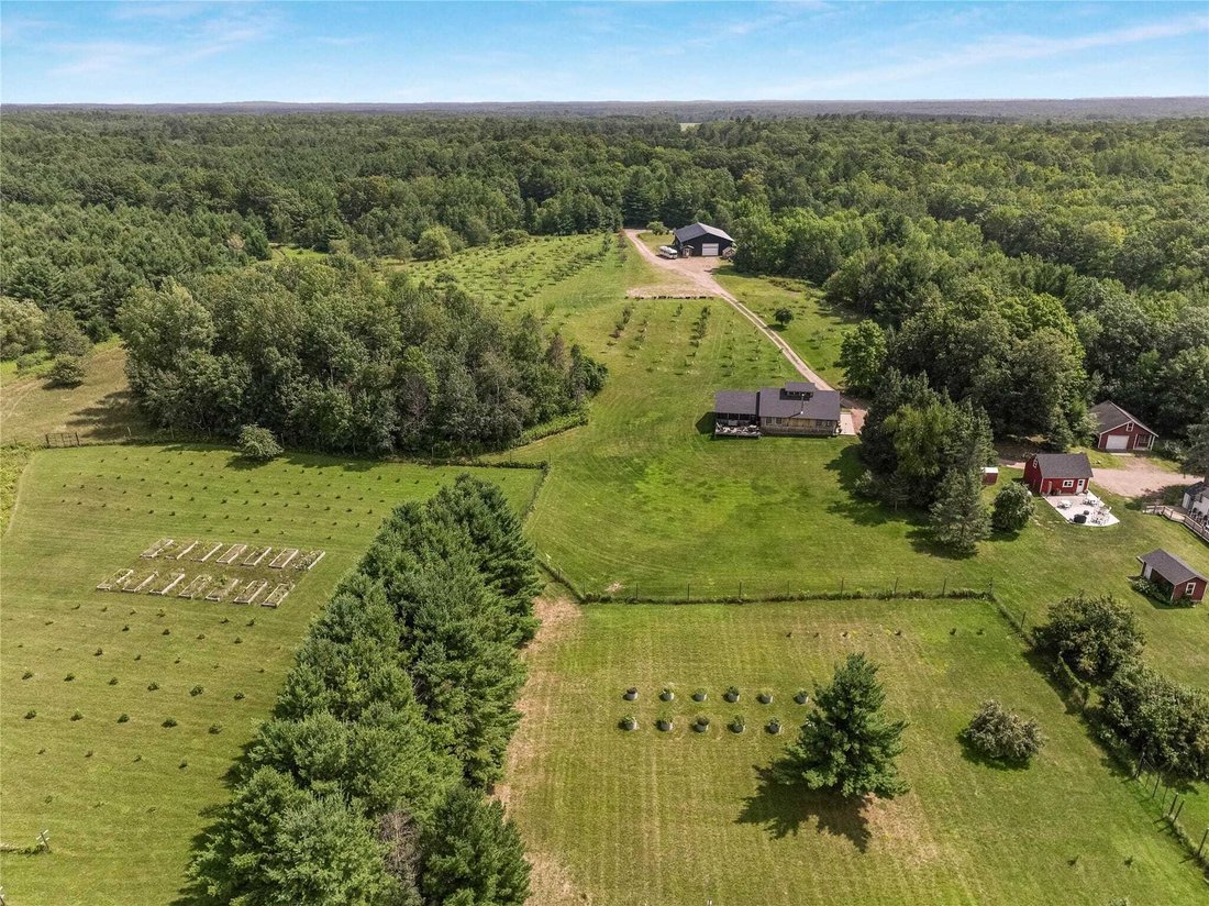 House in Hayward, Wisconsin, United States 5 - 18593790
