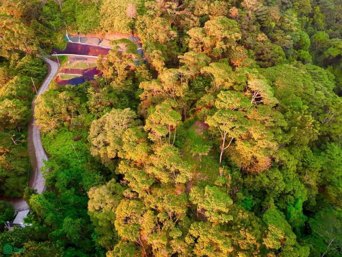 Land in Uvita, Puntarenas Province, Costa Rica 5 - 17804640
