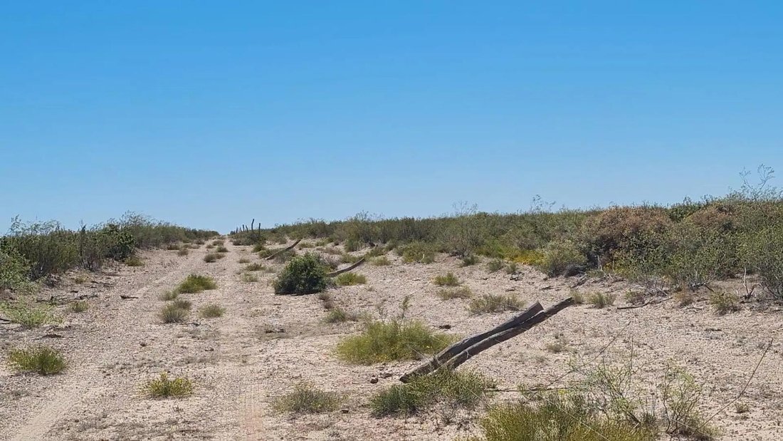 Land in Puelén, La Pampa, Argentina 3 - 18588506