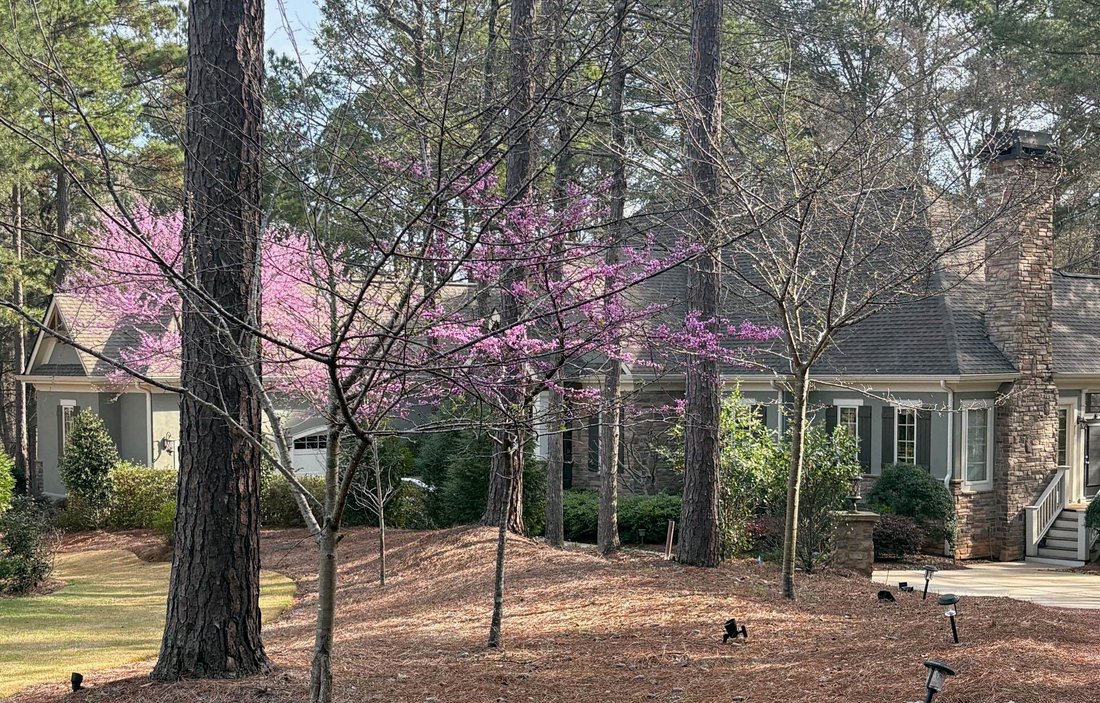 House in Greensboro, Georgia, United States 4 - 18589102