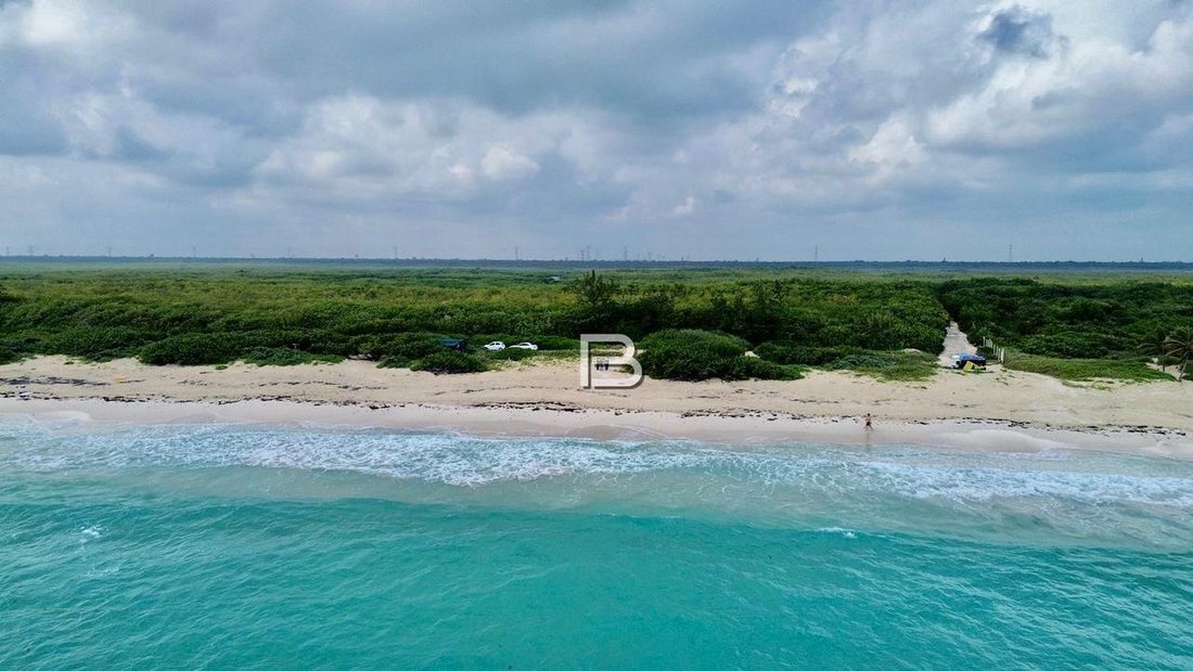 Land in Puerto Morelos, Quintana Roo, Mexico 4 - 18588265