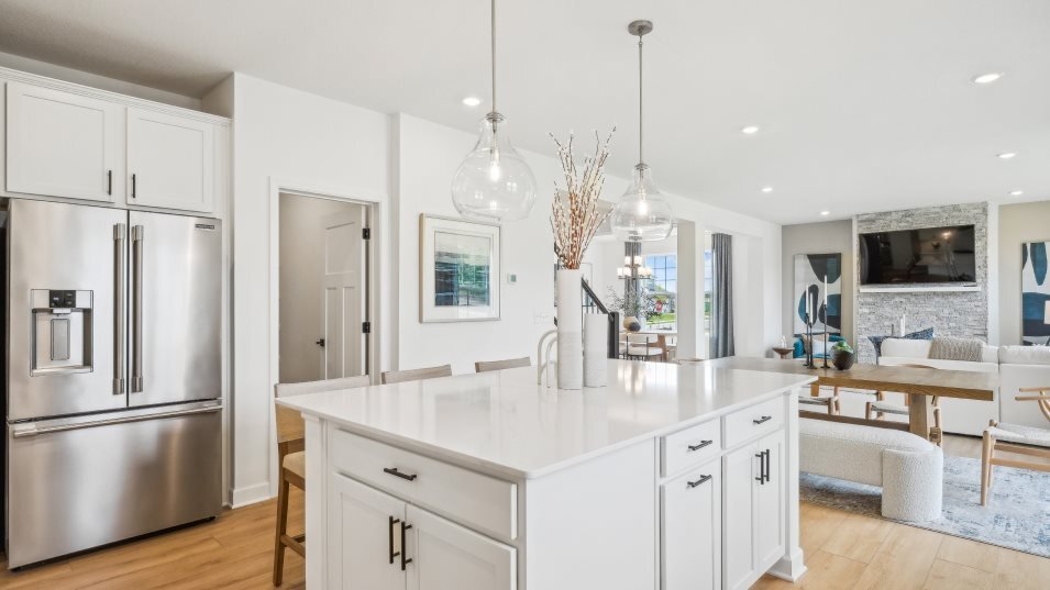 House in Rosemount, Minnesota, United States 5 - 18590300
