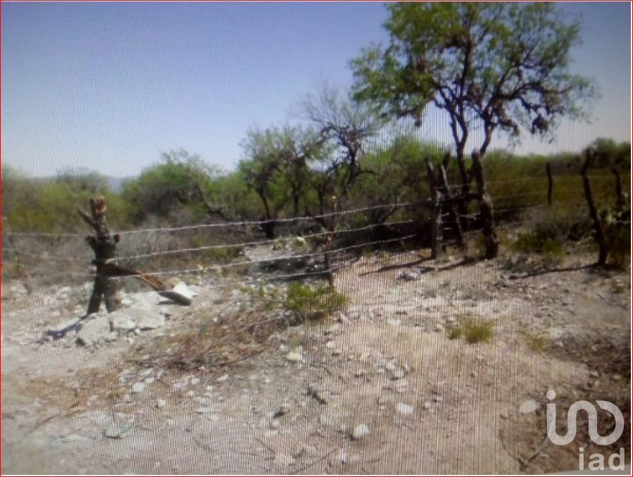 Land in Matehuala, San Luis Potosi, Mexico 5 - 16582608