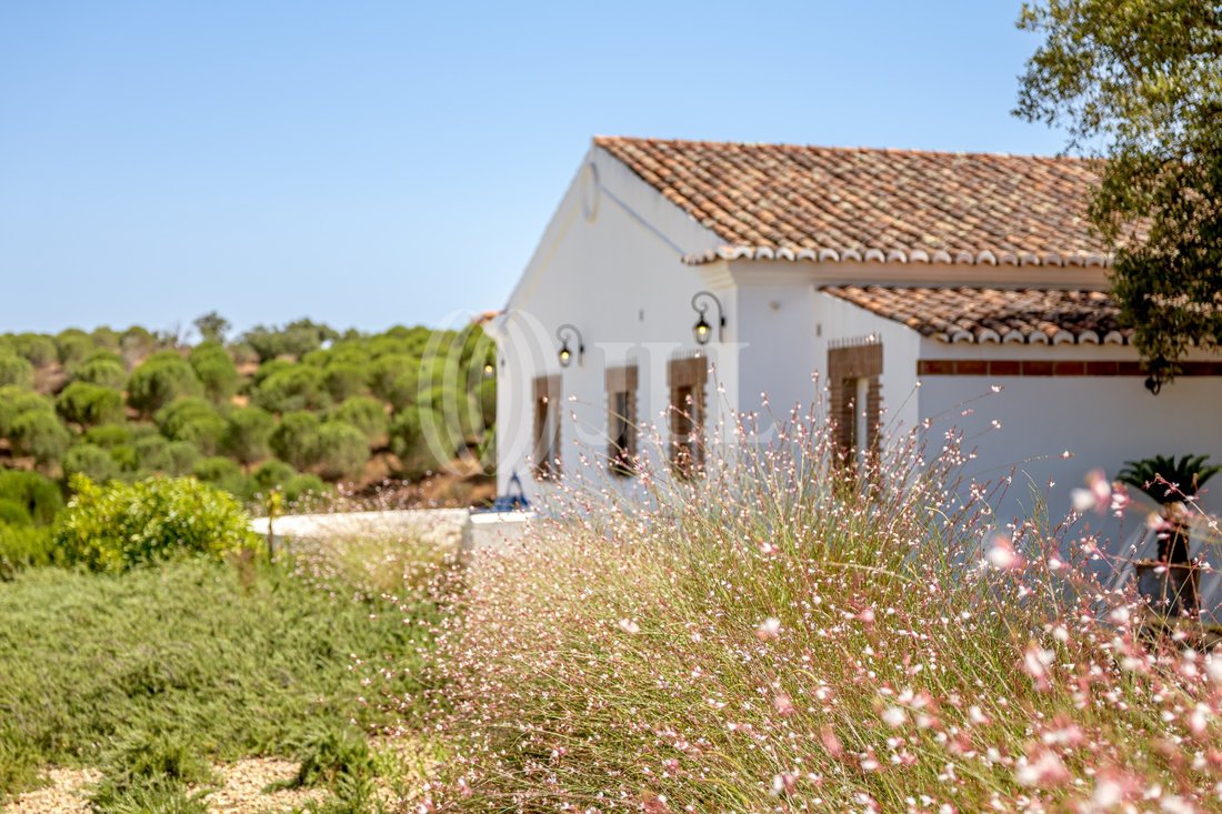 Estate in Grandola e Santa Margarida da Serra, Setubal, Portugal 4 - 18592951