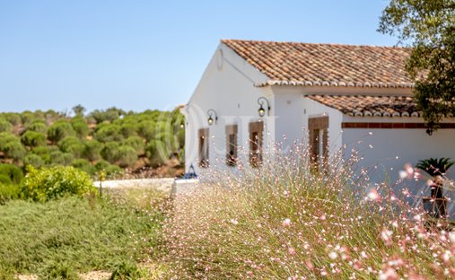 Estate in Grandola e Santa Margarida da Serra, Setubal, Portugal 1