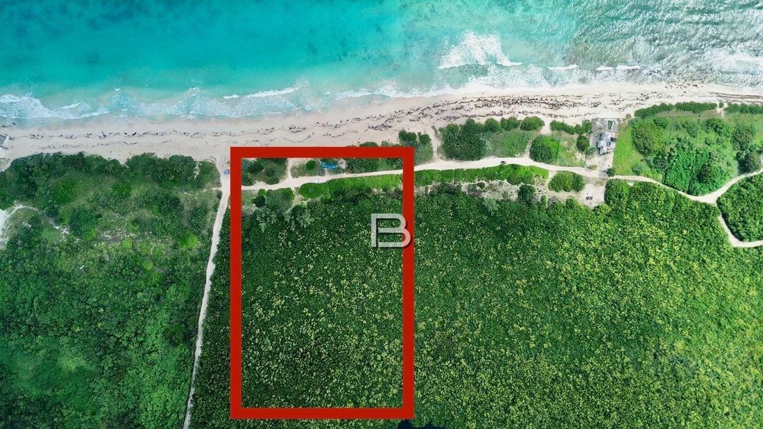 Land in Puerto Morelos, Quintana Roo, Mexico 1 - 18588269