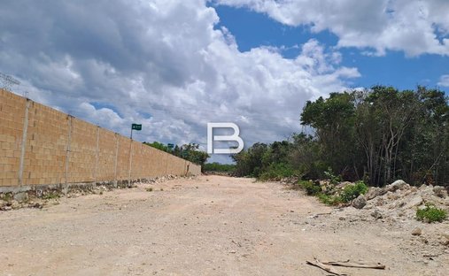 Land in Alfredo V. Bonfil, Quintana Roo, Mexiko 1