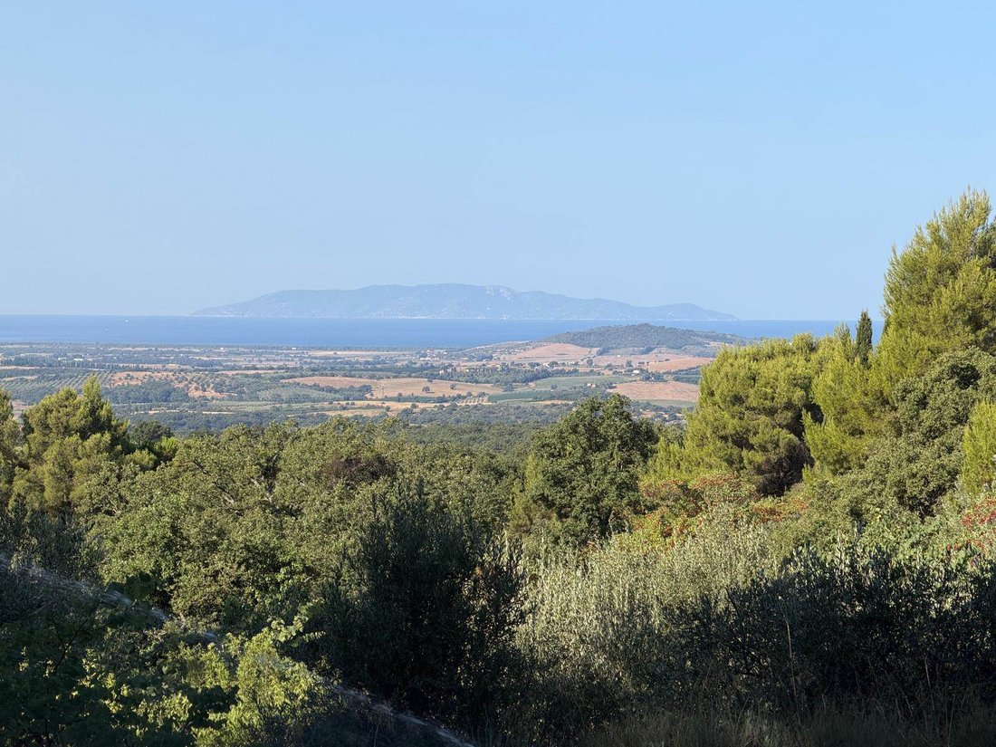 Villa in Magliano in Toscana, Toskana, Italien 4 - 18592788