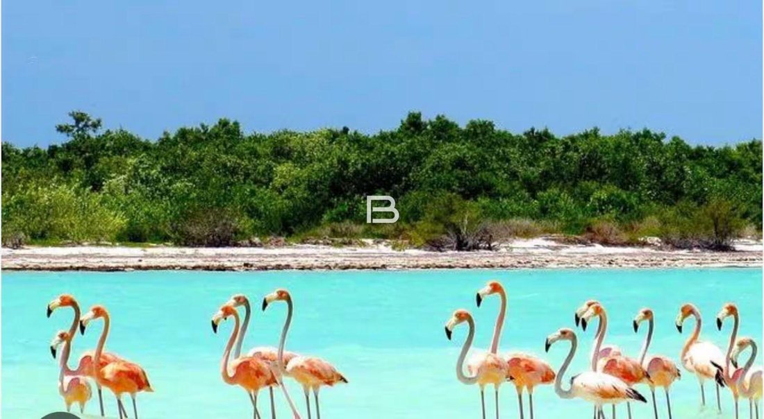 House in Holbox, Quintana Roo, Mexico 4 - 18588835