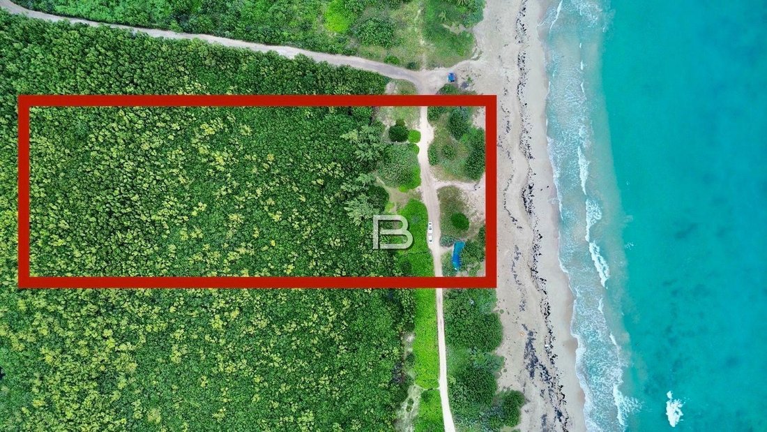 Land in Puerto Morelos, Quintana Roo, Mexico 4 - 18588269