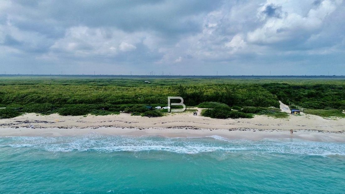 Land in Puerto Morelos, Quintana Roo, Mexico 3 - 18588268