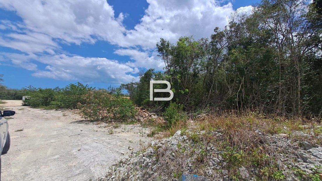 Land in Alfredo V. Bonfil, Quintana Roo, Mexico 3 - 18588761