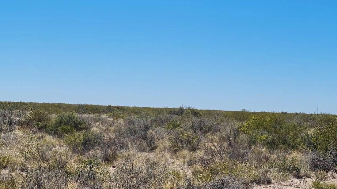 Land in Puelén, La Pampa, Argentina 5 - 18588506