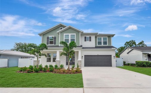 House in Tampa, Florida, United States 1