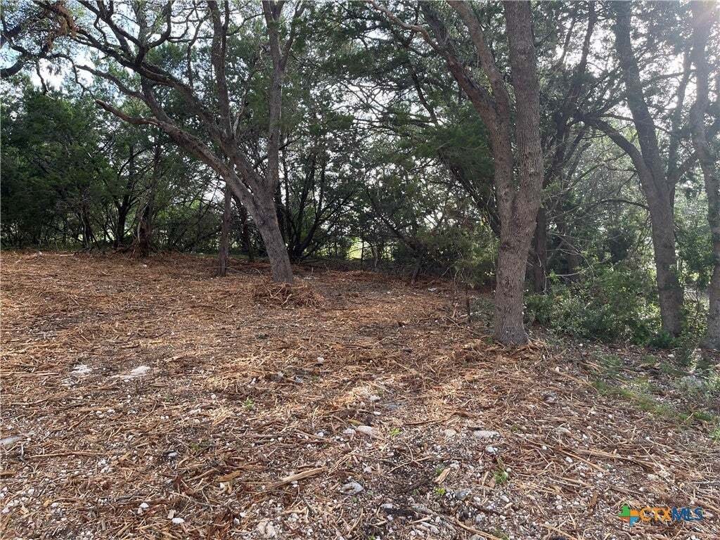 Haus in Canyon Lake, Texas, Vereinigte Staaten 2 - 18591412