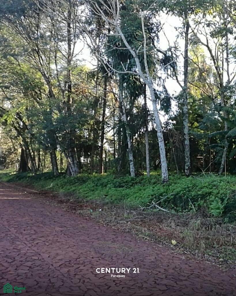 Land in Obligado, Itapúa Department, Paraguay 4 - 17815165