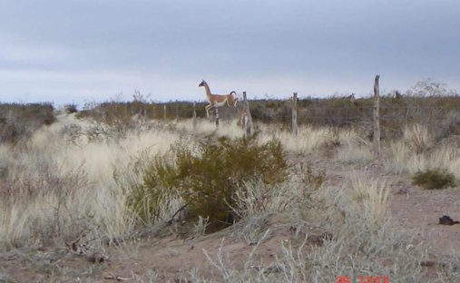 Land in Puelén, La Pampa, Argentina 1