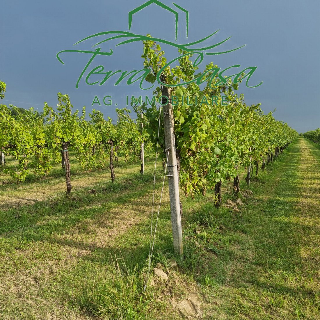 Land in Motta di Livenza, Veneto, Italy 1 - 18593166