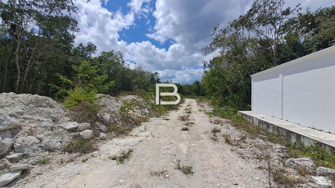 Land in Alfredo V. Bonfil, Quintana Roo, Mexico 2 - 18588761