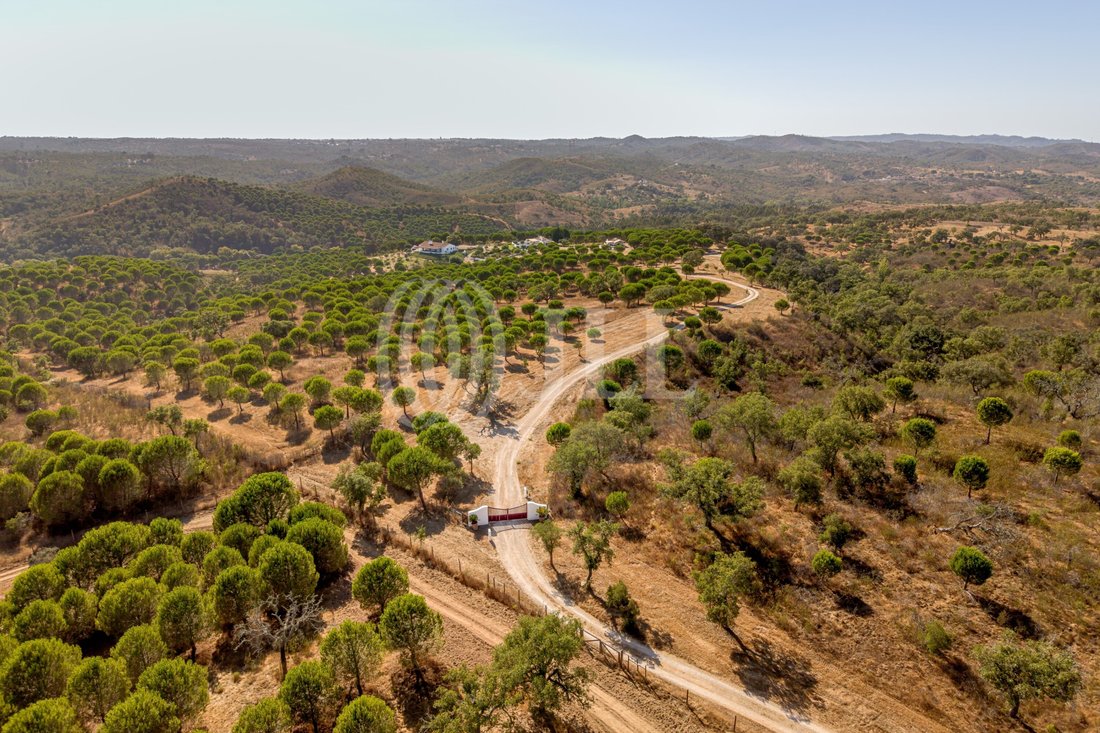 Estate in Grandola e Santa Margarida da Serra, Setubal, Portugal 2 - 18592951