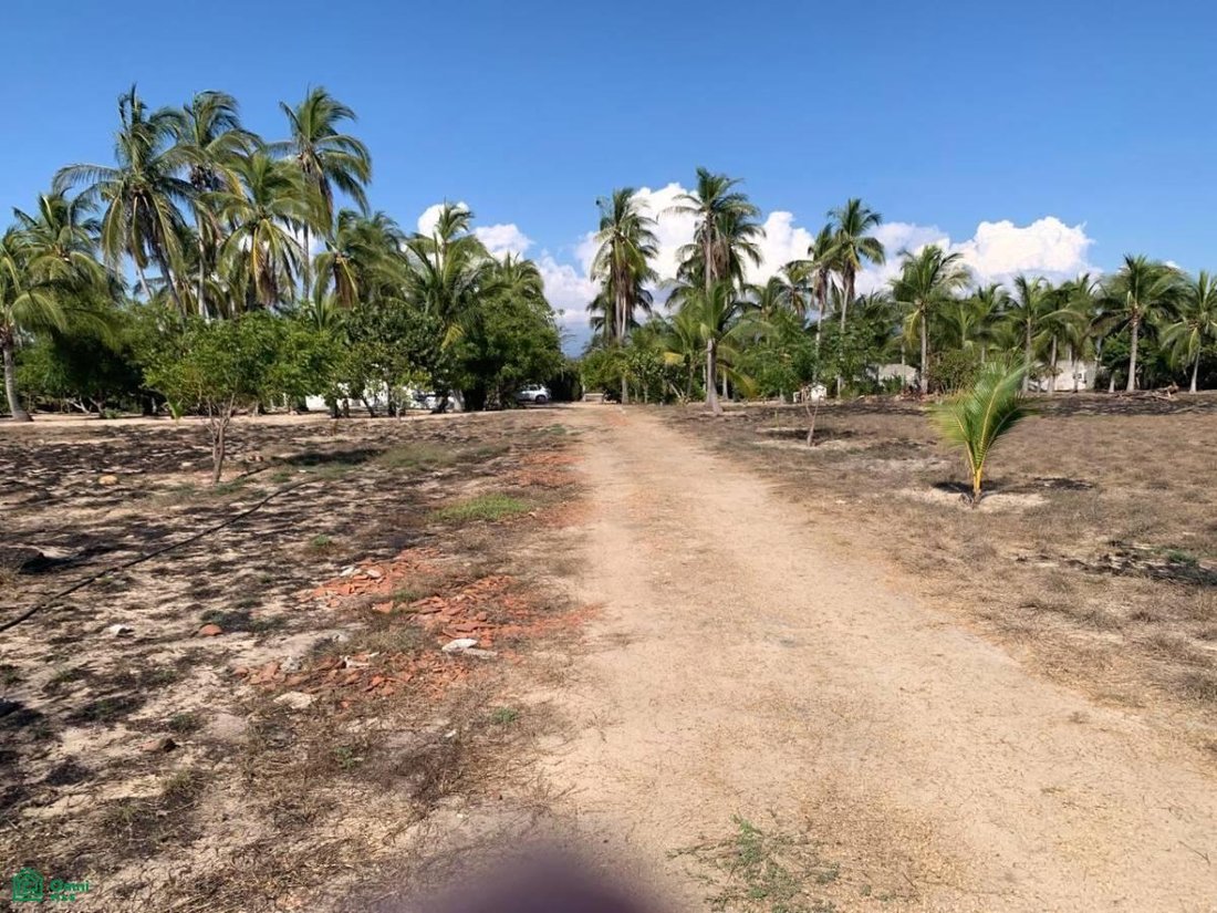 Land in Los Mogotes, Guerrero, Mexico 3 - 17811489